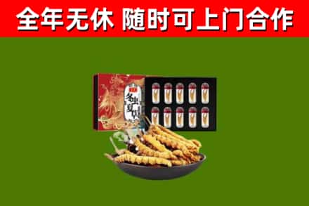 城厢区回收冬虫夏草价格