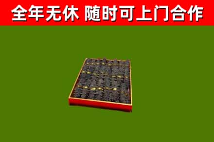 城厢区回收海参